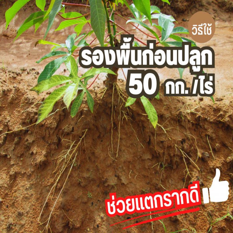 สารเพิ่มประสิทธิภาพ ตราเรือใบแดง